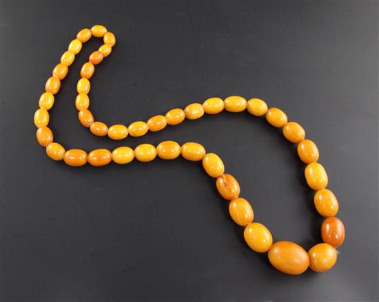 A single strand graduated oval amber bead necklace, 32in.